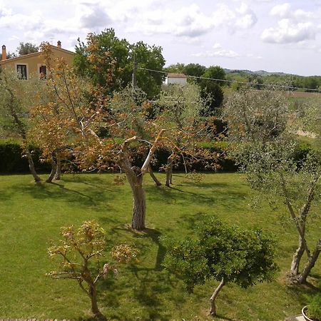 Il Punto Verde SantʼAntonio Exteriör bild