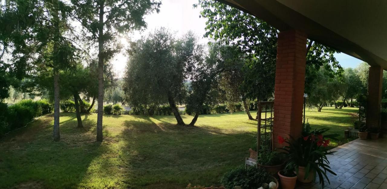 Il Punto Verde SantʼAntonio Exteriör bild