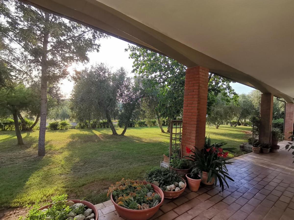 Il Punto Verde SantʼAntonio Exteriör bild