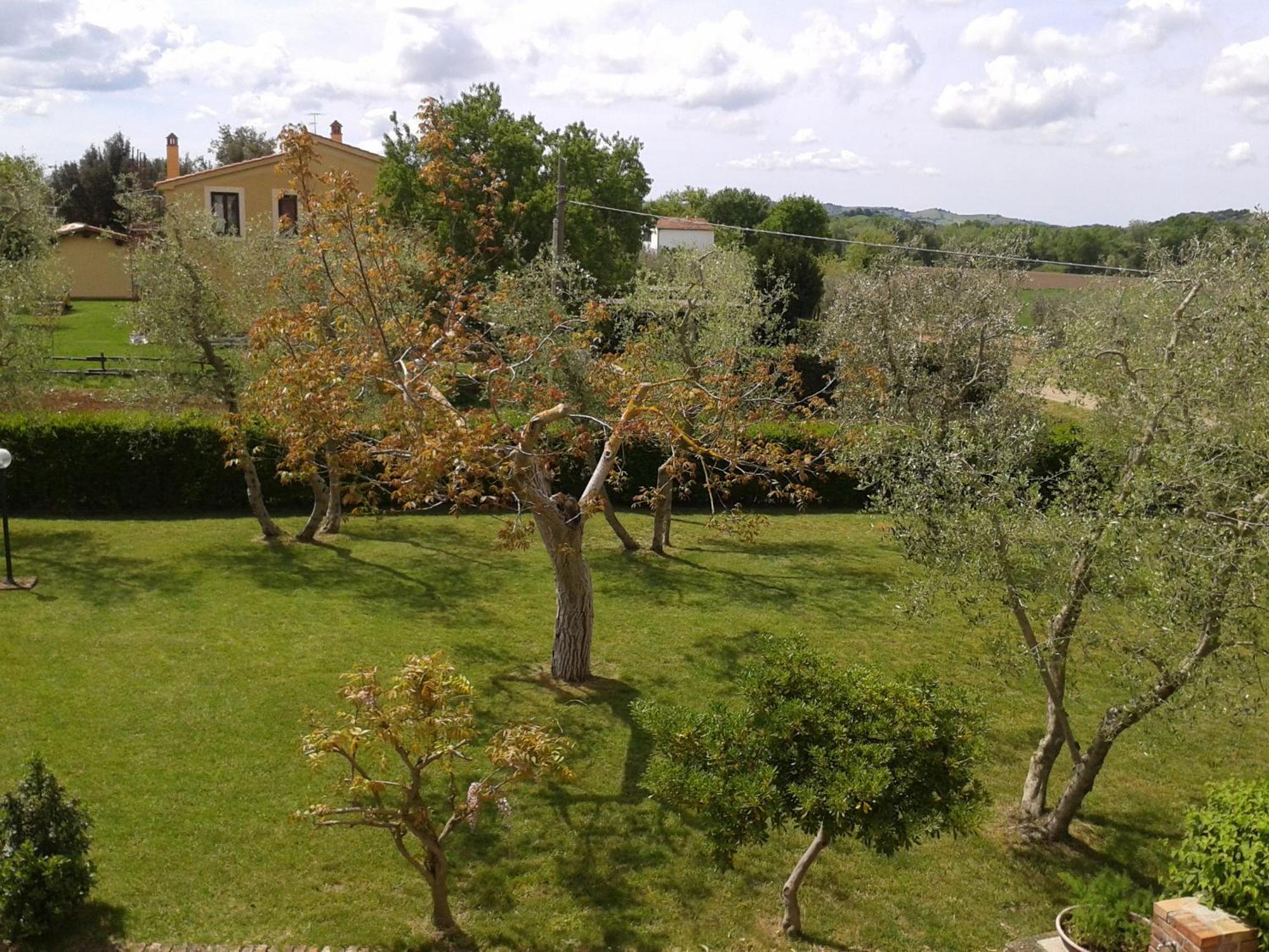 Il Punto Verde SantʼAntonio Exteriör bild