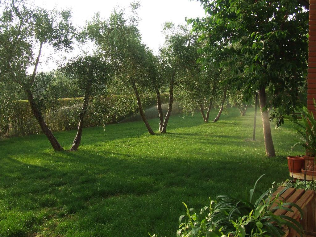 Il Punto Verde SantʼAntonio Exteriör bild