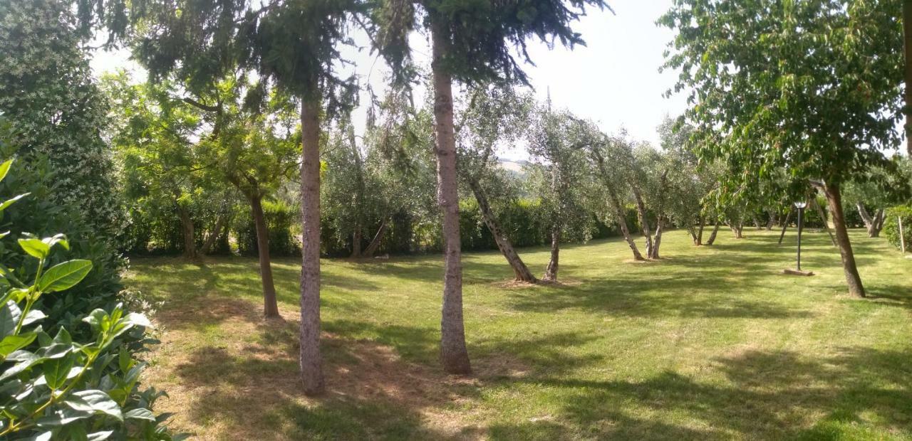 Il Punto Verde SantʼAntonio Exteriör bild