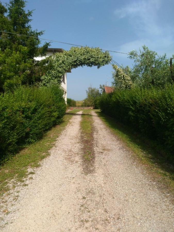 Il Punto Verde SantʼAntonio Exteriör bild